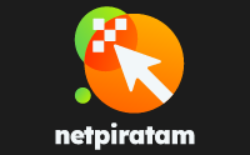 Логотип netpiratam.ru